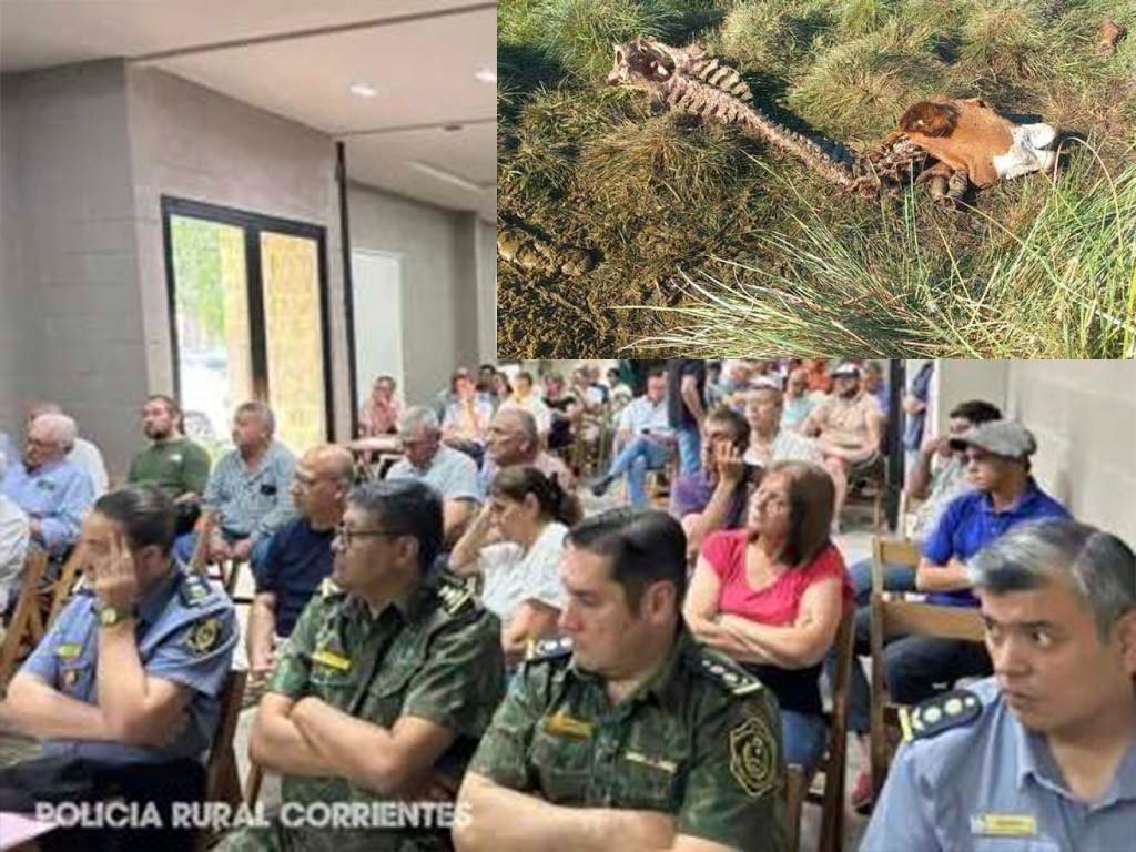 Imagen Noticia