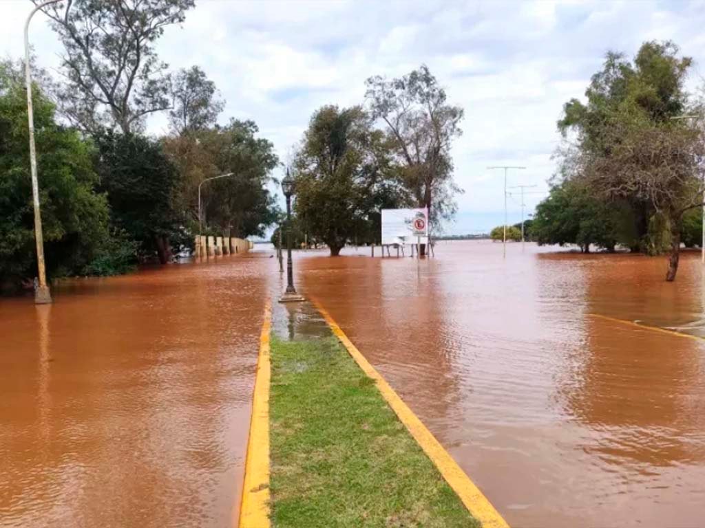 Imagen Noticia