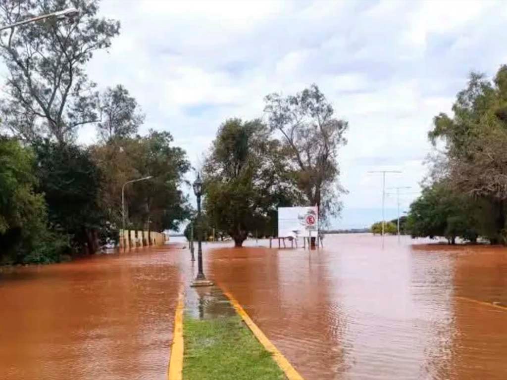 Imagen Noticia